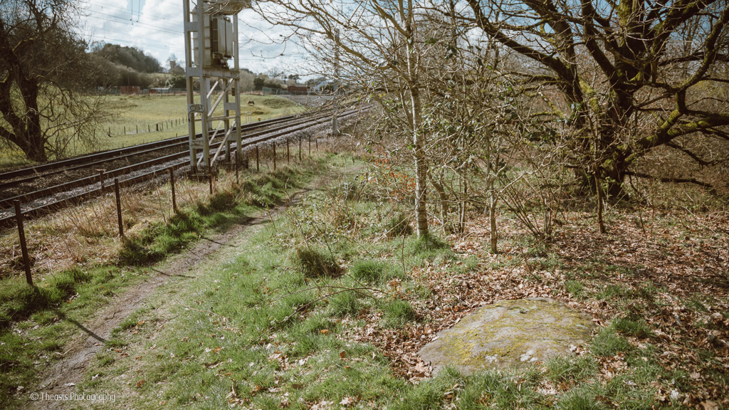 Rouken Glen Ancient Scotland